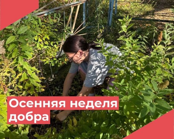 22 сентября волонтеры п.Достижение приняли участие в традиционной ежегодной добровольческой акции "Осенняя неделя добра".