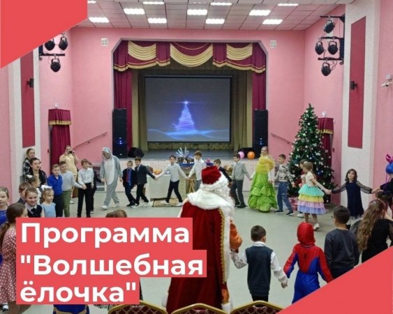 28 декабря в Достиженском Доме Культуры прошла новогодняя программа "Волшебная ёлочка".