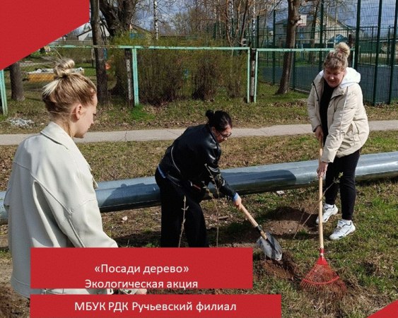 В рамках акции "Весенняя неделя добра" работники Ручьевского ДК и молодежного объединения "Мы" провели экологическую акцию «Посади дерево».